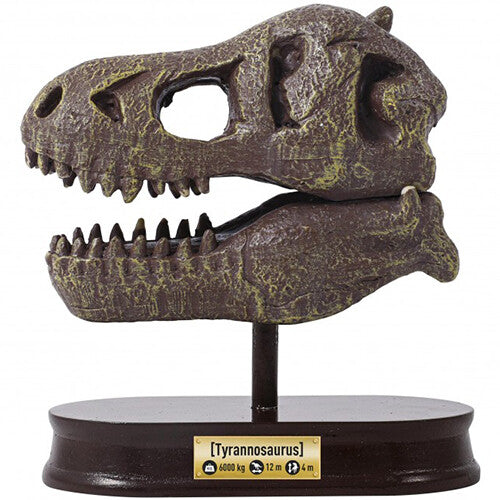 Buki mega opgraafkit dinoschedel - t-rex