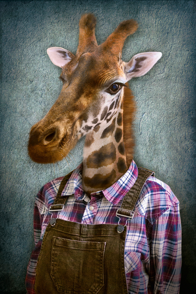 Akustikbild GIRAFFE 80x120cm, 7kg