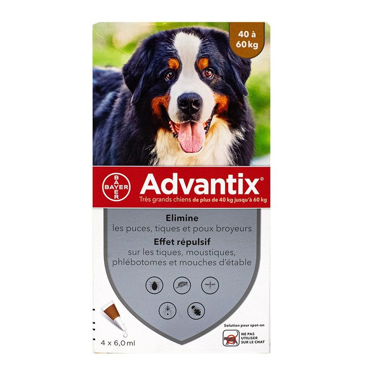 Très grand chien +40 kg 4 pipettes