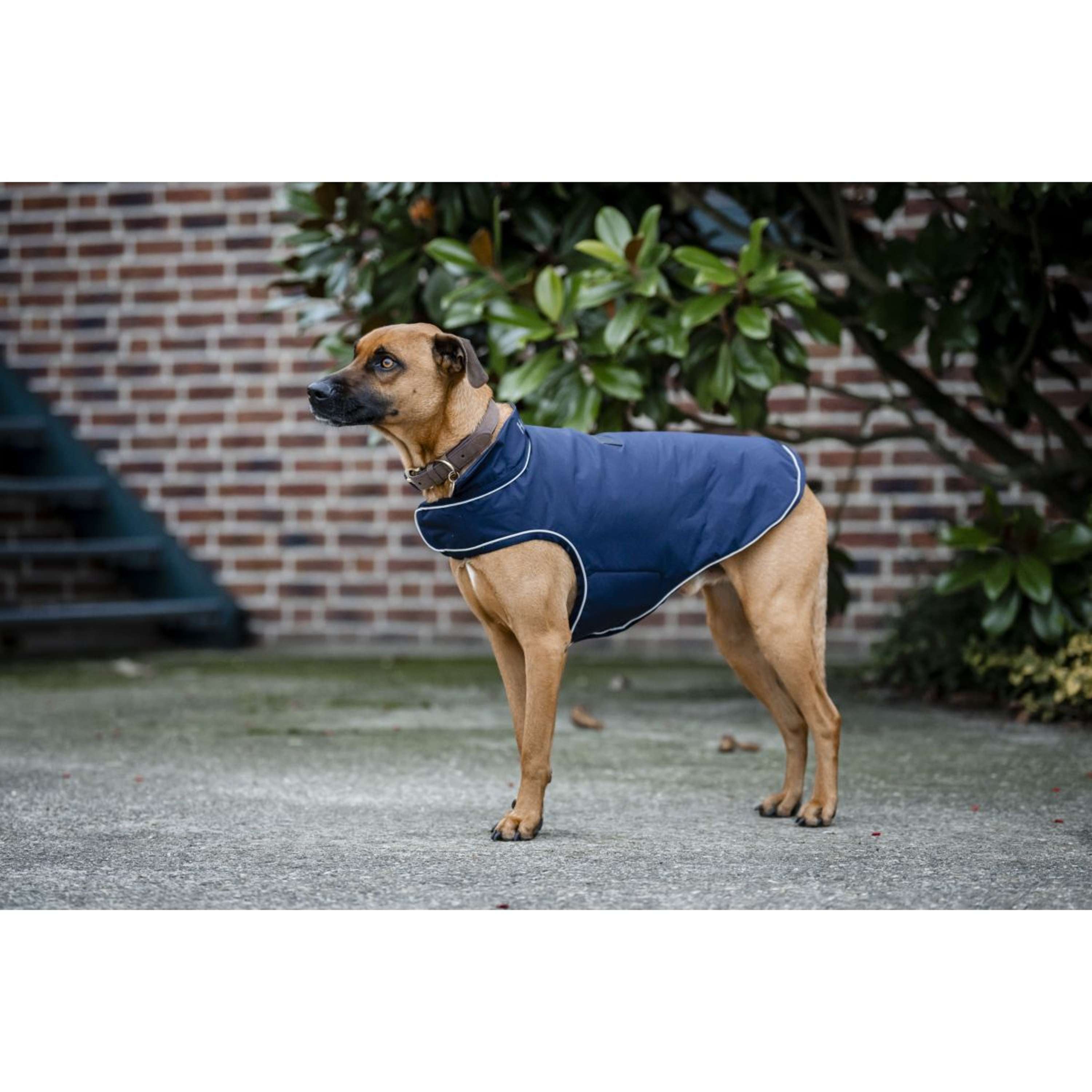 Horseware Hondenregendeken Signature 100g Navy
