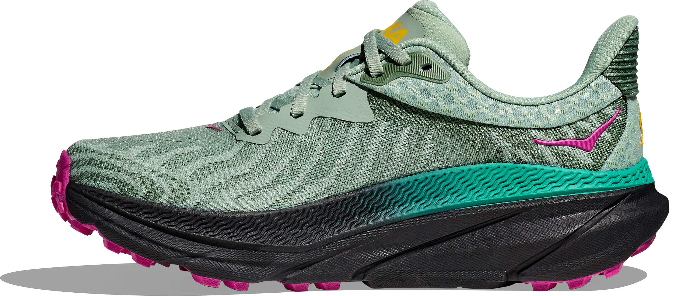 Challenger 7 Dame ACK/Aloe Vera/Black