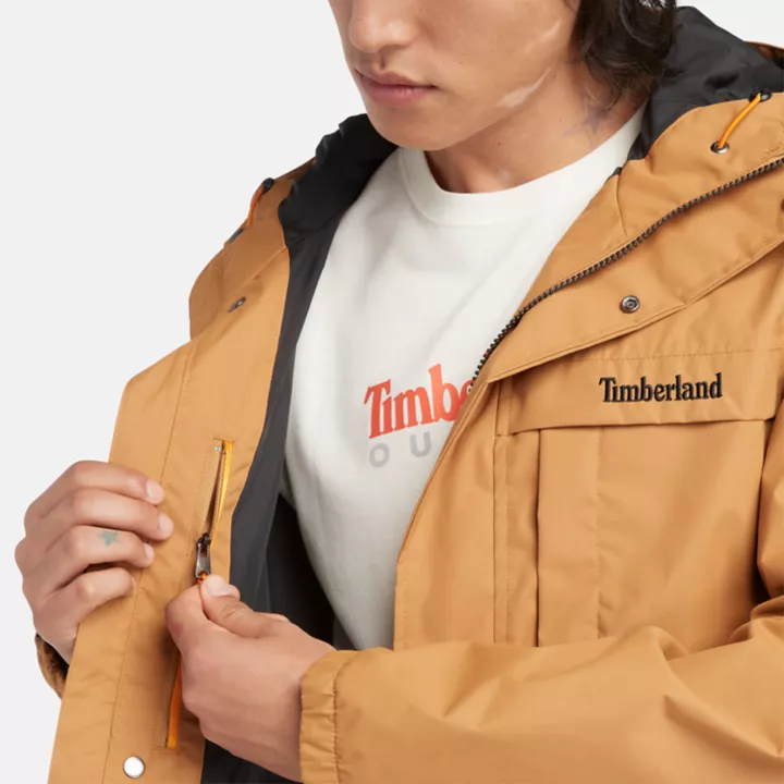 Veste isolante Benton pour homme en orange