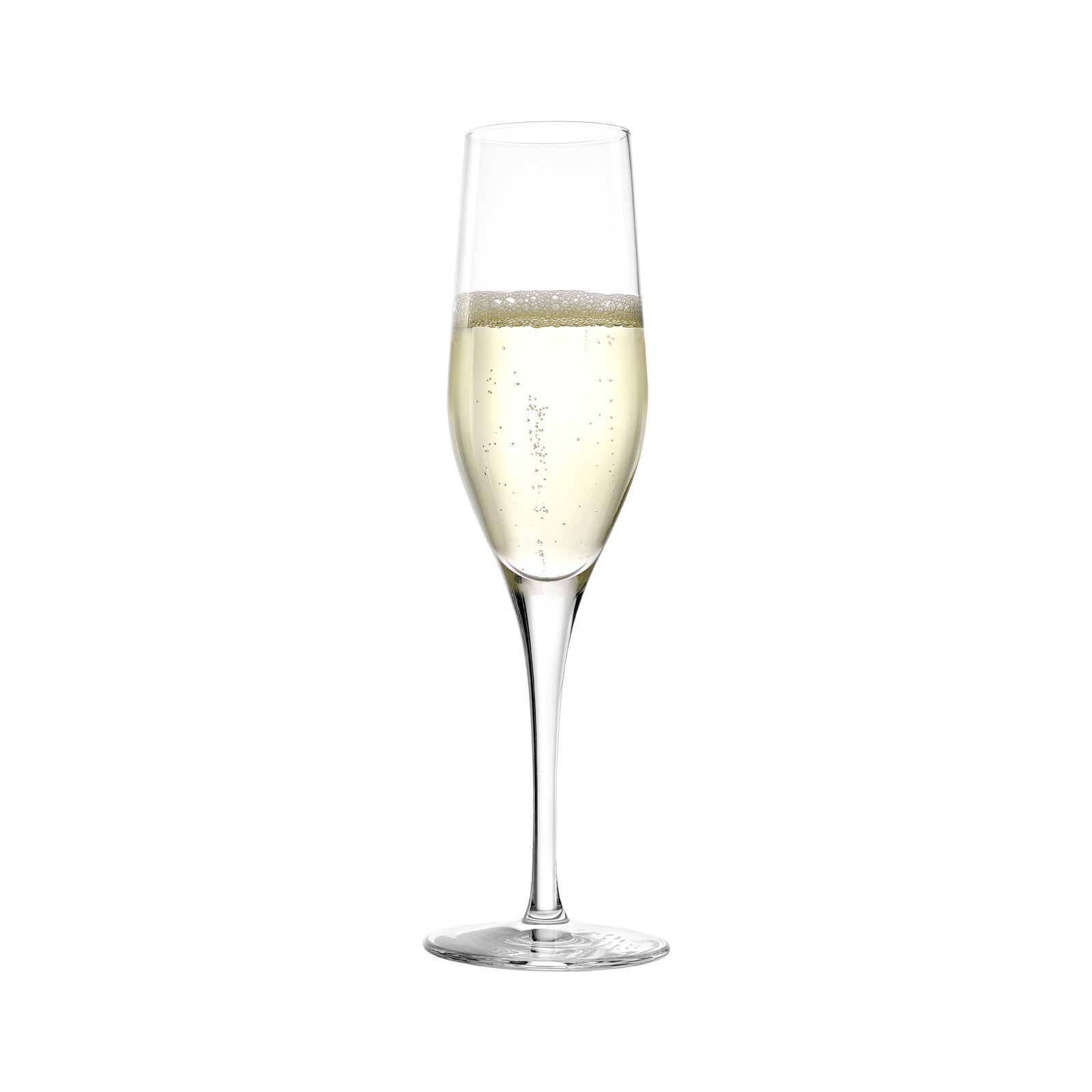 Stölzle Lausitz Champagner Tastinggläser Exquisit 18er Set