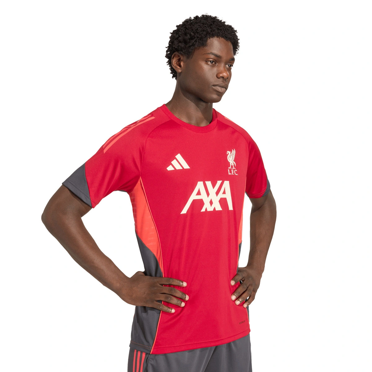 T-Shirt adidas Liverpool Fc Training 2025-2026