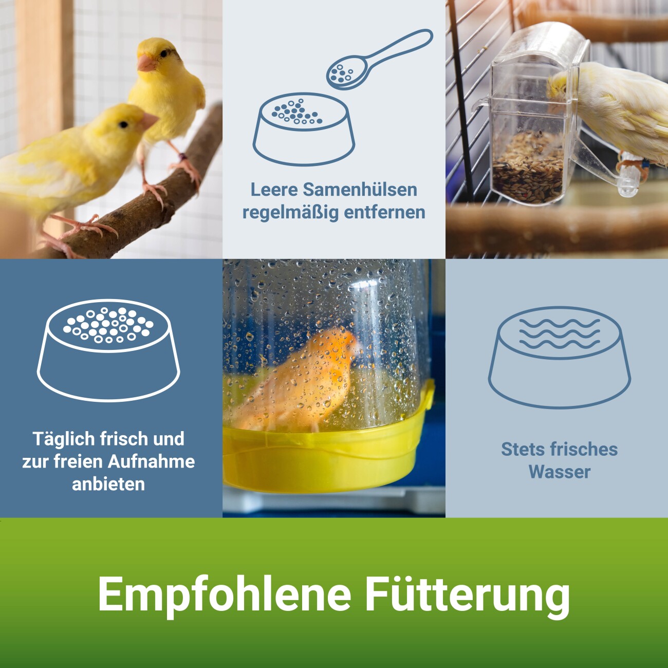 Panto ® KANARIENFUTTER MIT PLURAMIN® 1 kg