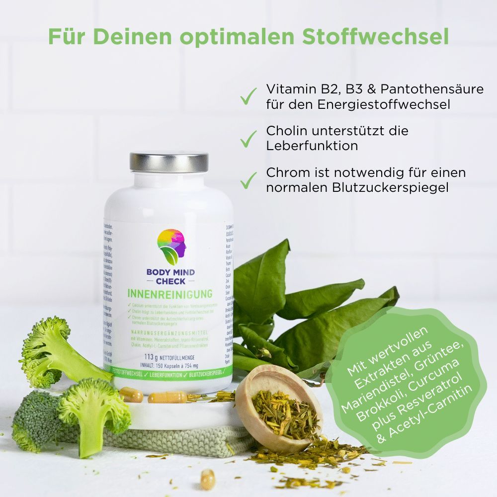 BodyMindCheck INNENREINIGUNG