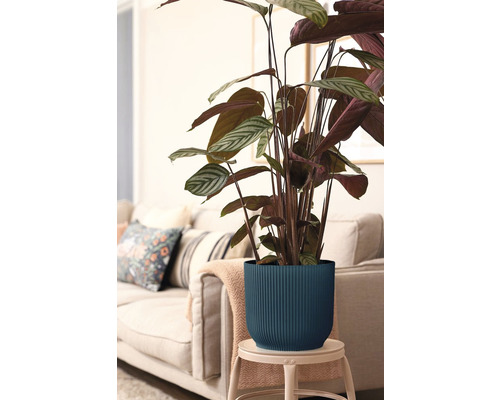 elho Vibes fold ronde mini plantenbak, kunststof, Ø 11,1 cm, H 10,5 cm, blauw