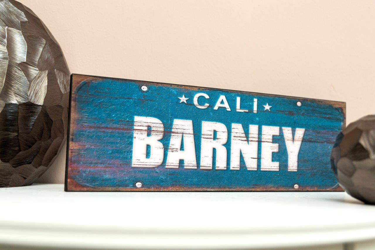 Holzschild - Barney - 45x15 cm