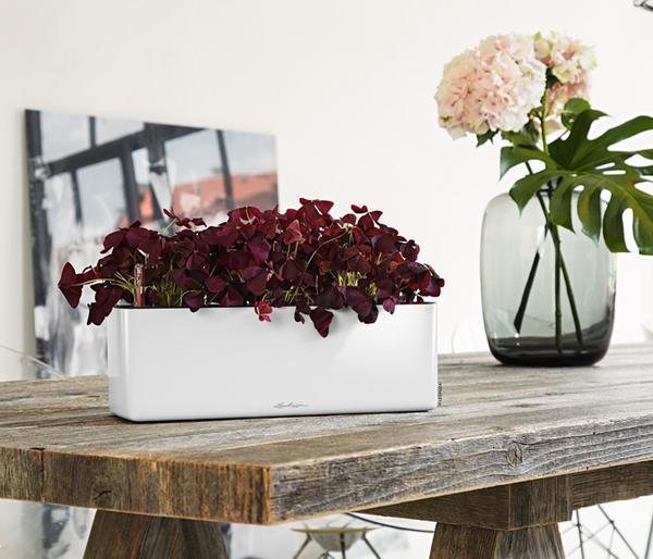 LECHUZA® CUBE Glossy Triple, All-in-One Set,