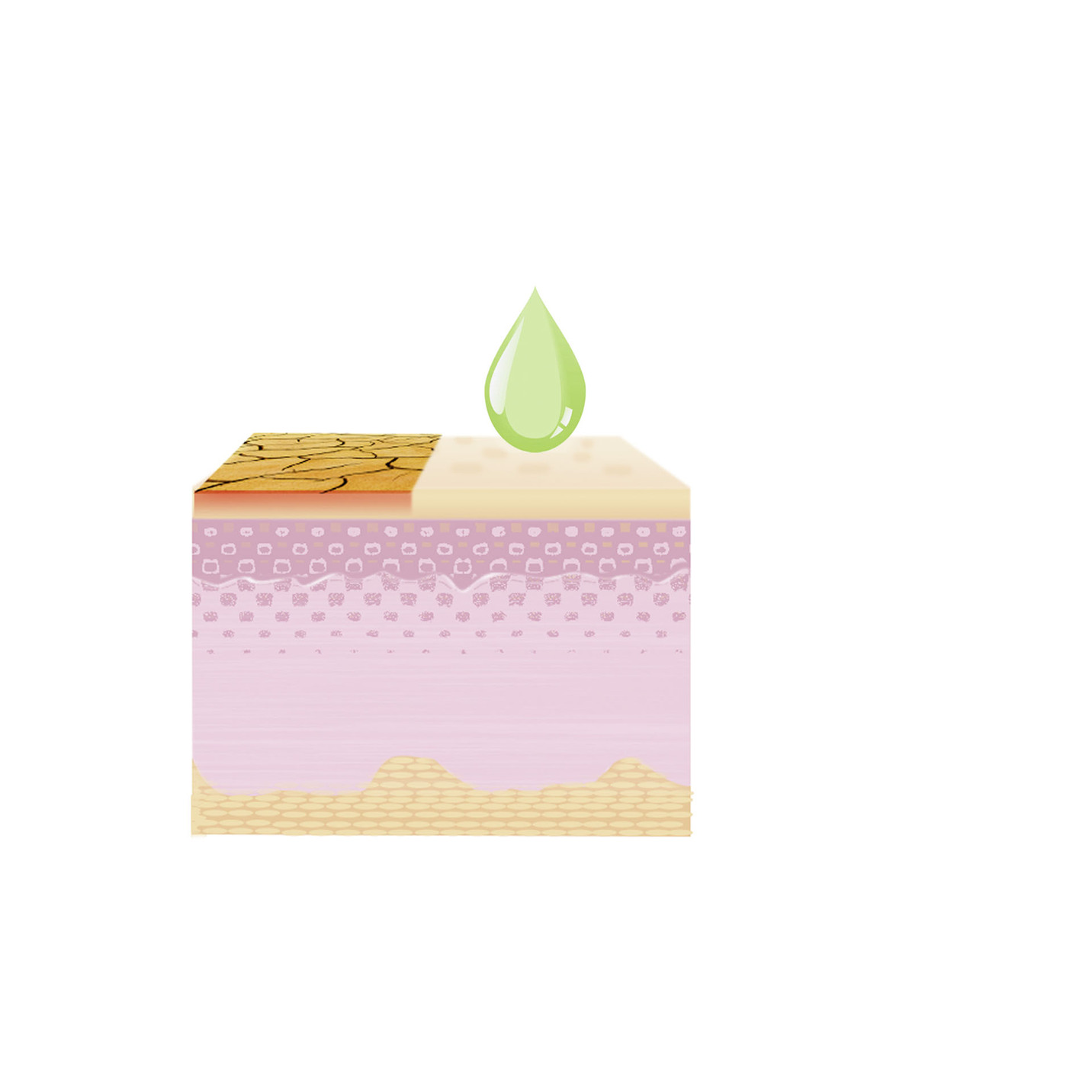 Ringelblumencreme,2er-Set