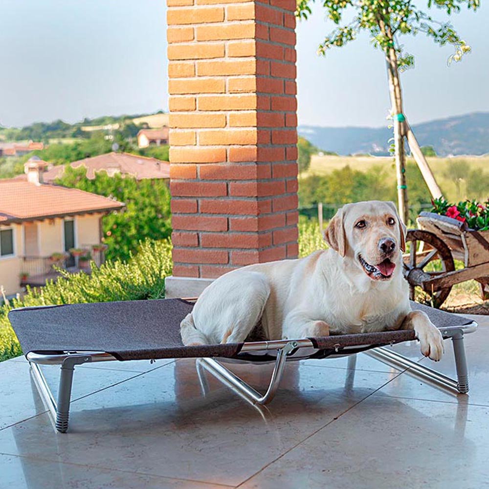 Ferplast lit pliable pour chiens dream 115, avec structure solide en aluminium avec élastiques renforcés, toile en tissu, 119 x 79