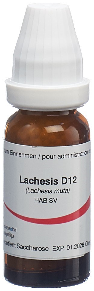 Omida Lachesis Glob 12 D 14 g