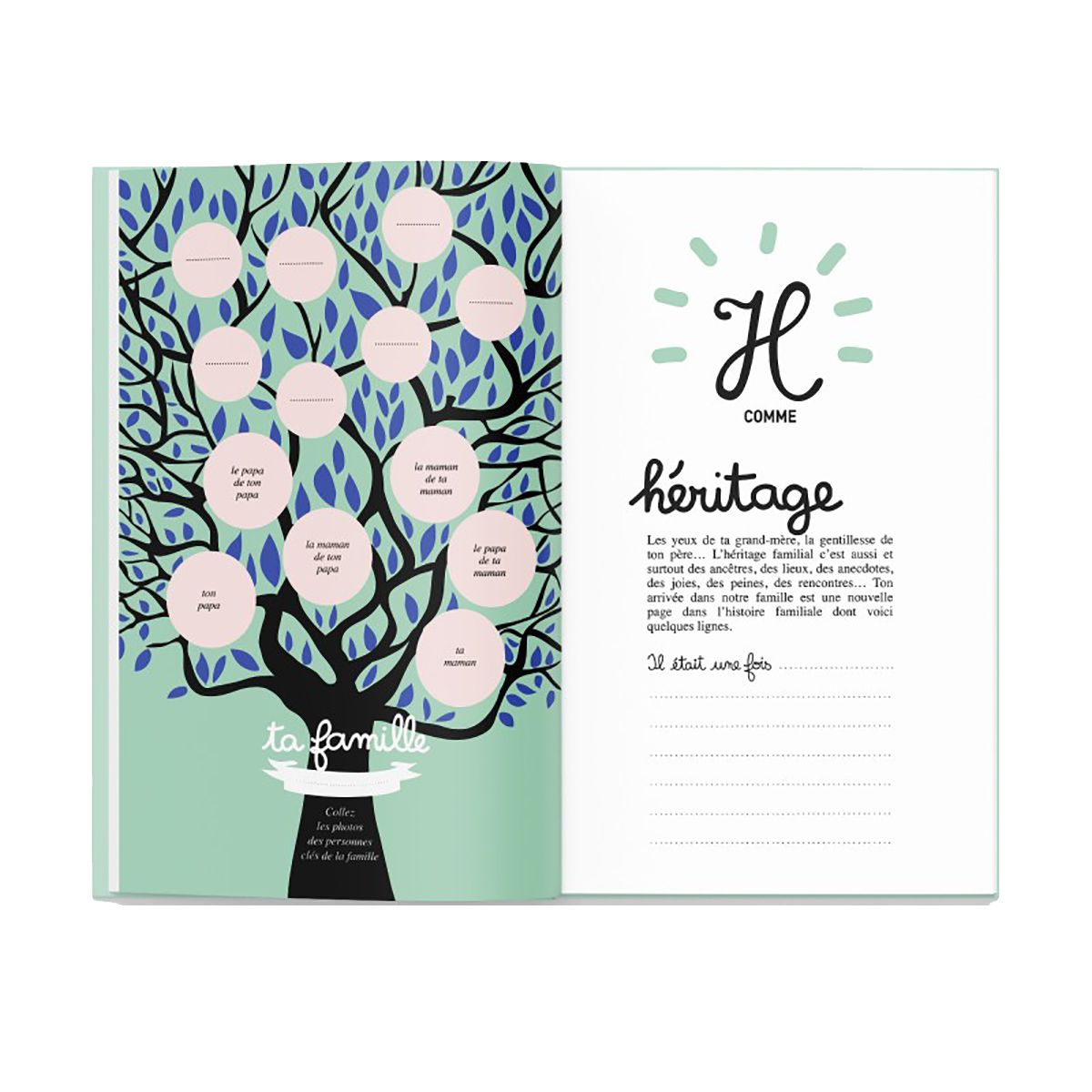 Livre de naissance 