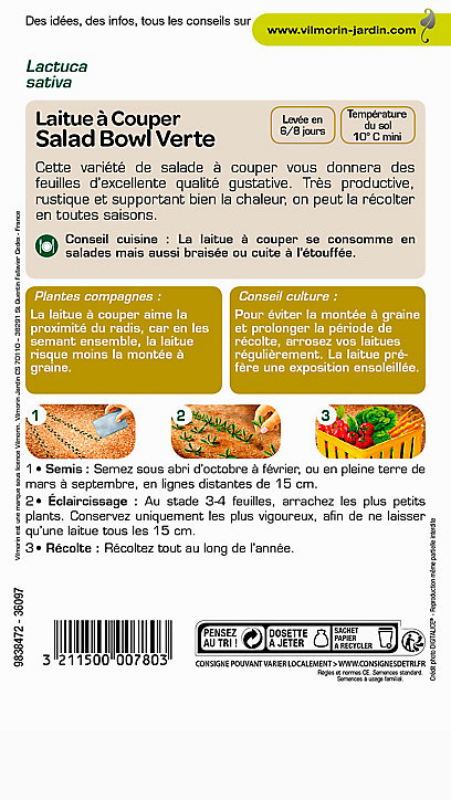 Graines de Laitue à couper Salad Bowl Verte Vilmorin