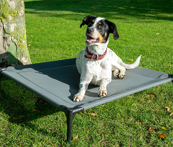 Outdoor-Hundelounge