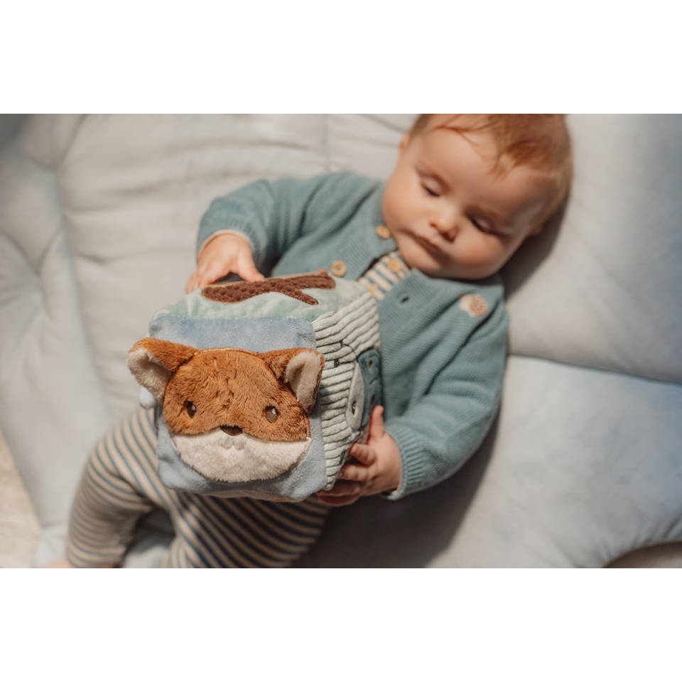 Little Dutch Forest Friends zachte activiteitenkubus