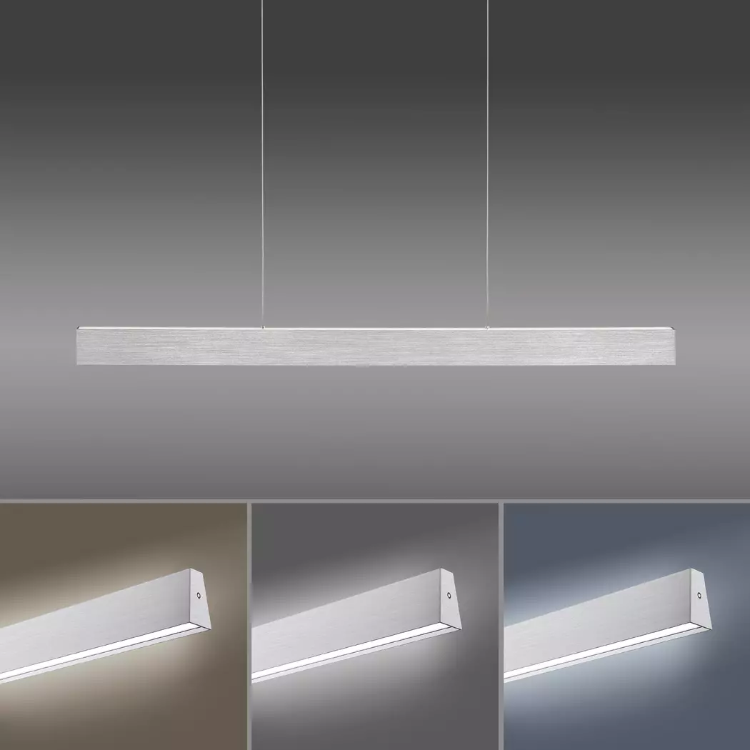 LED-Pendelleuchte Pure-Motion
