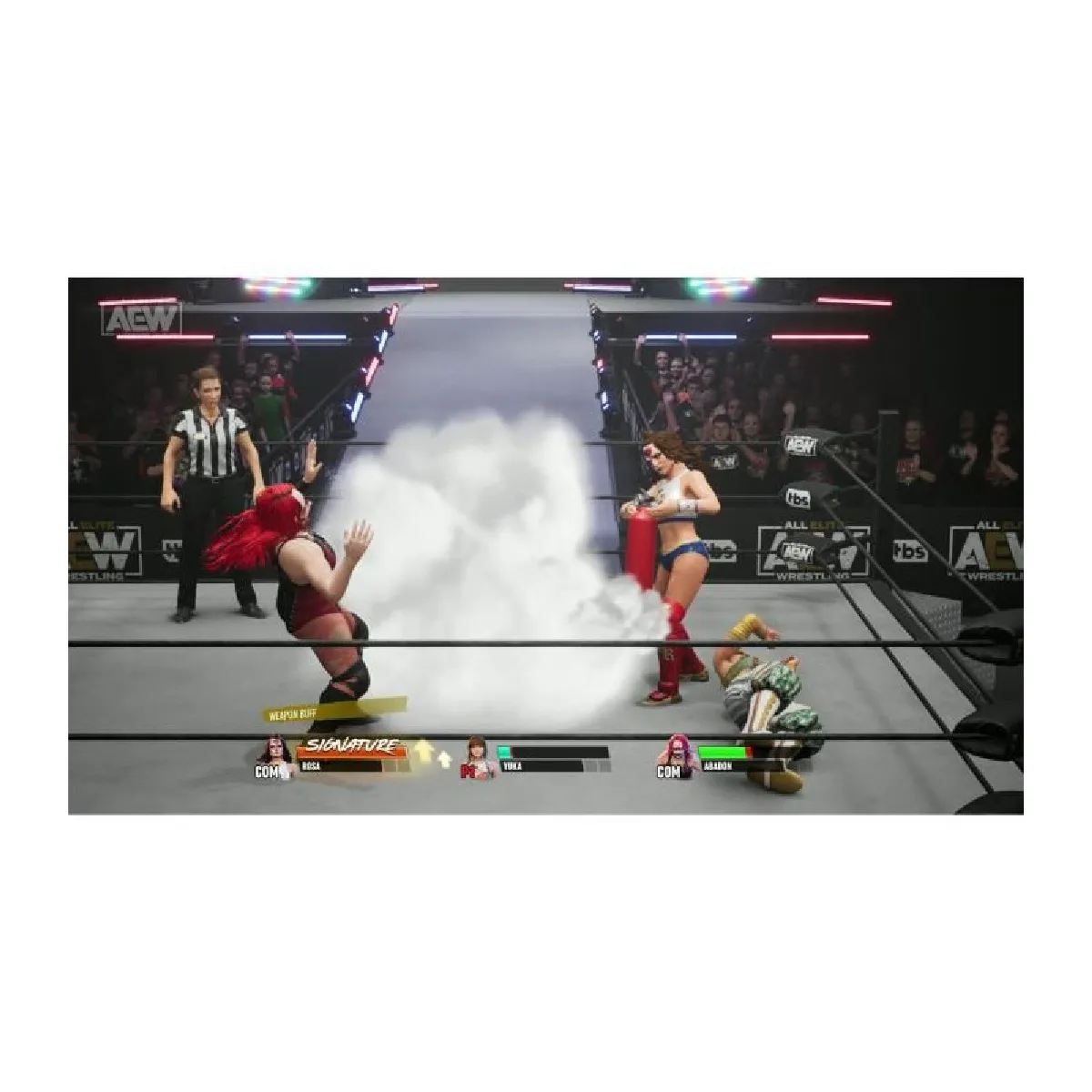 THQNORDIC Aew: Fight Forever