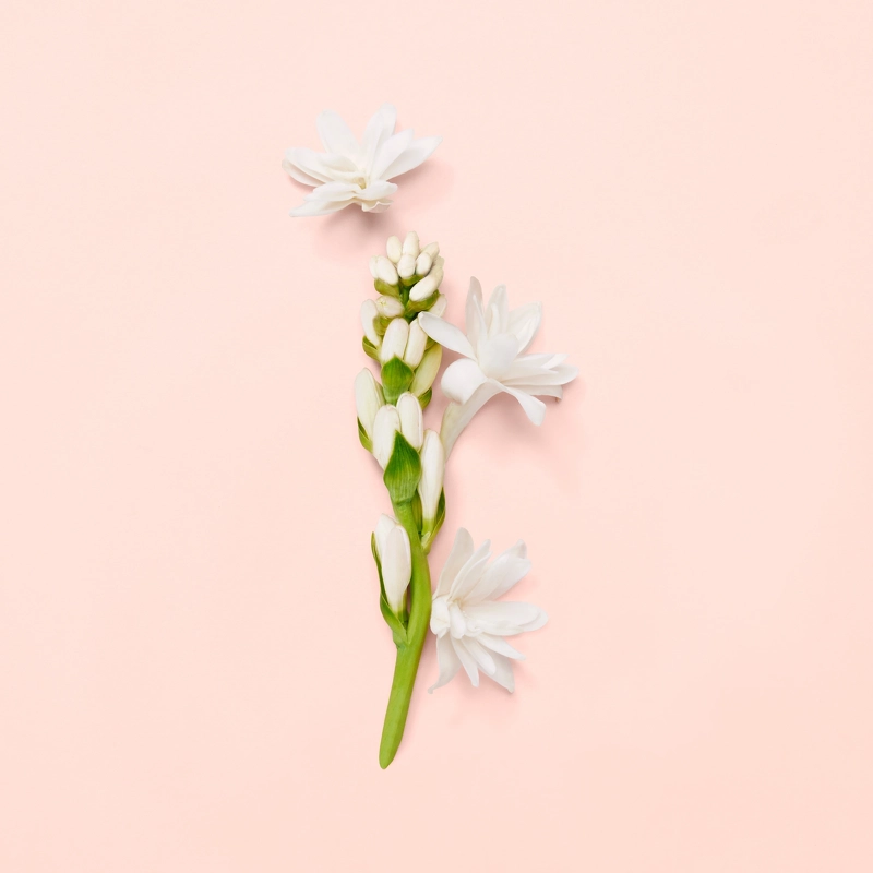 Gucci Bloom EDP 100 ml