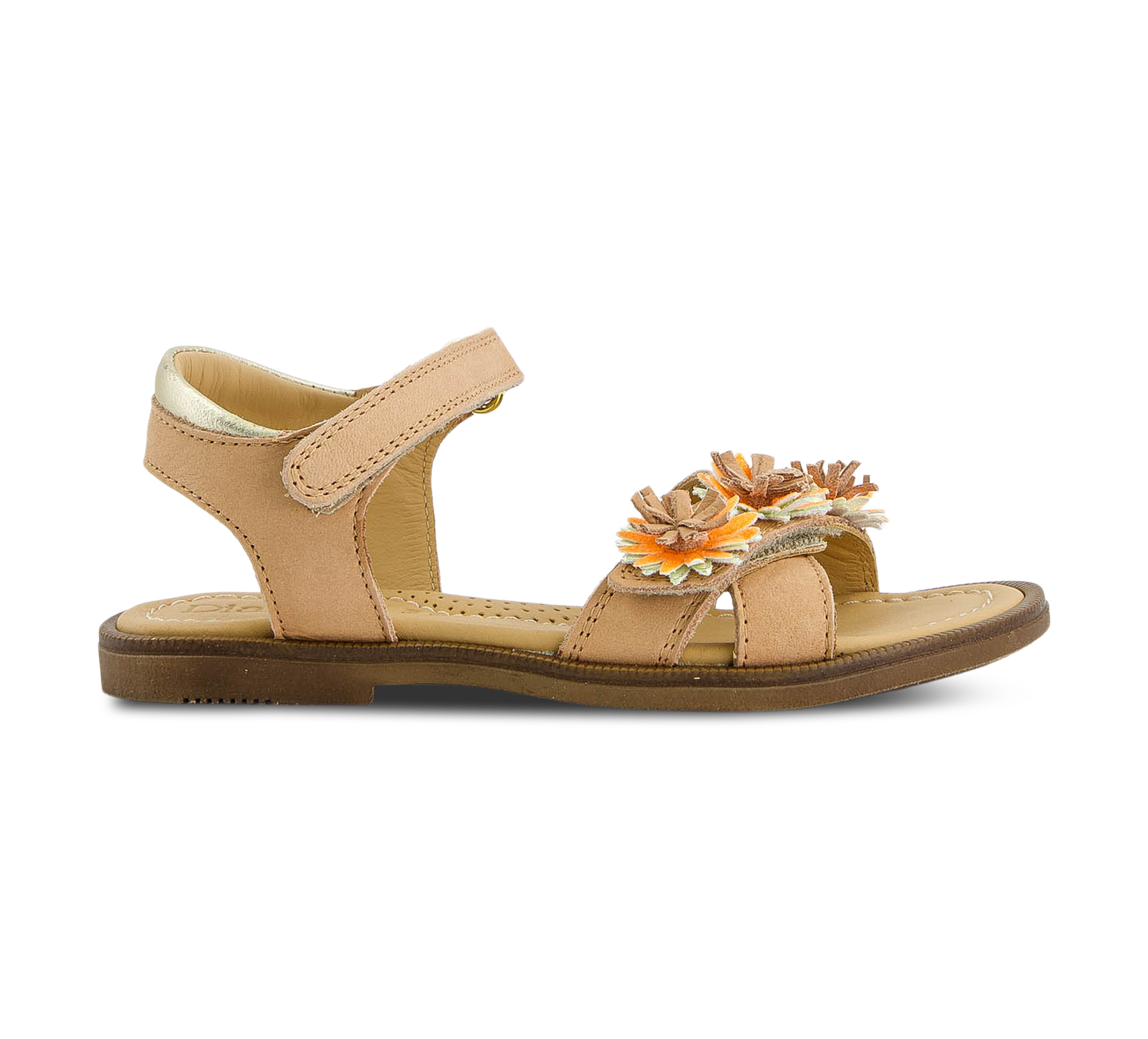 Dianetti 3027