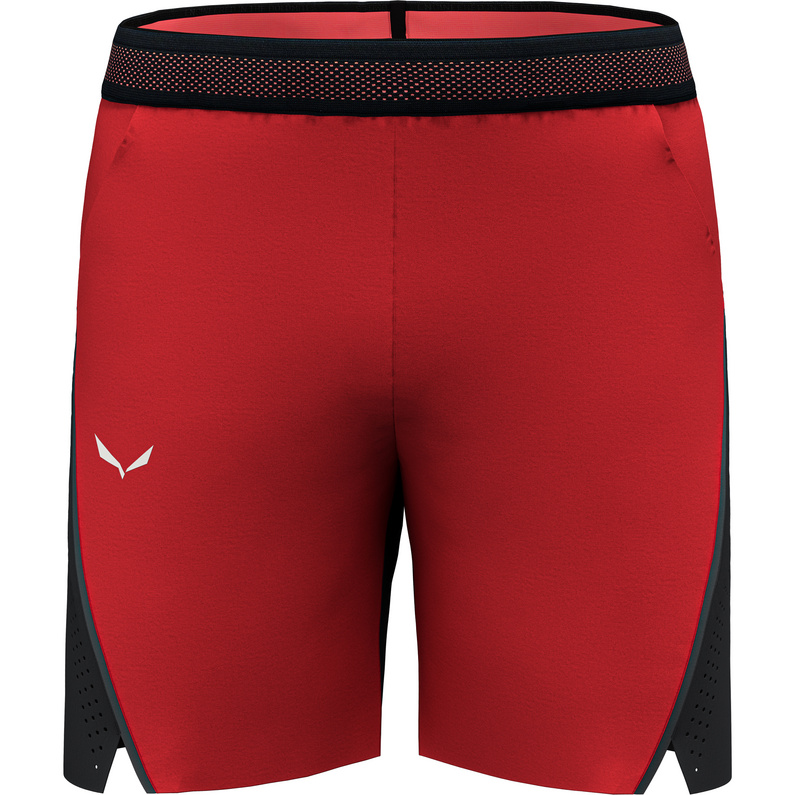 Salewa Herren Pedroc 2 Dst Shorts