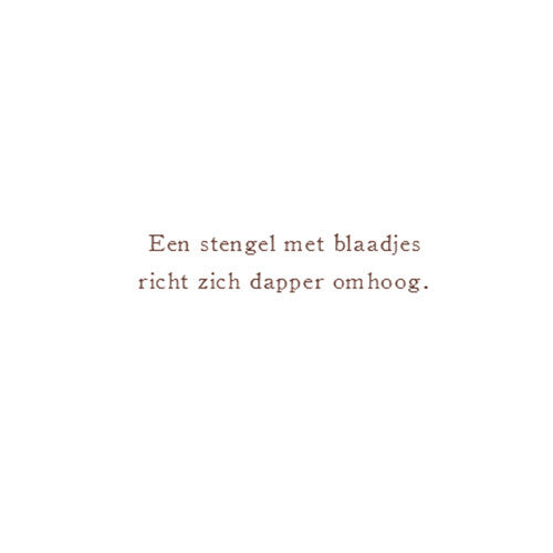Uitgeverij christofoor het begint met een zaadje