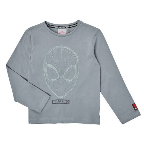 TEAM HEROES  - T-SHIRT SPIDER-MAN - Gris