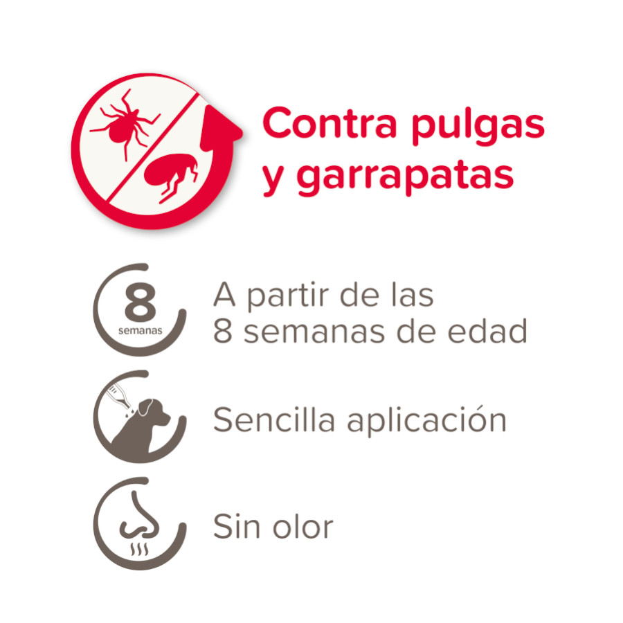 Pipetas Beaphar FiproTec para cães de raças grandes