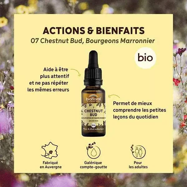 Florais de Bach Biofloral 07 - Broto de Castanha (Brotos de Castanha-da-Índia Orgânicos) 20 ml
