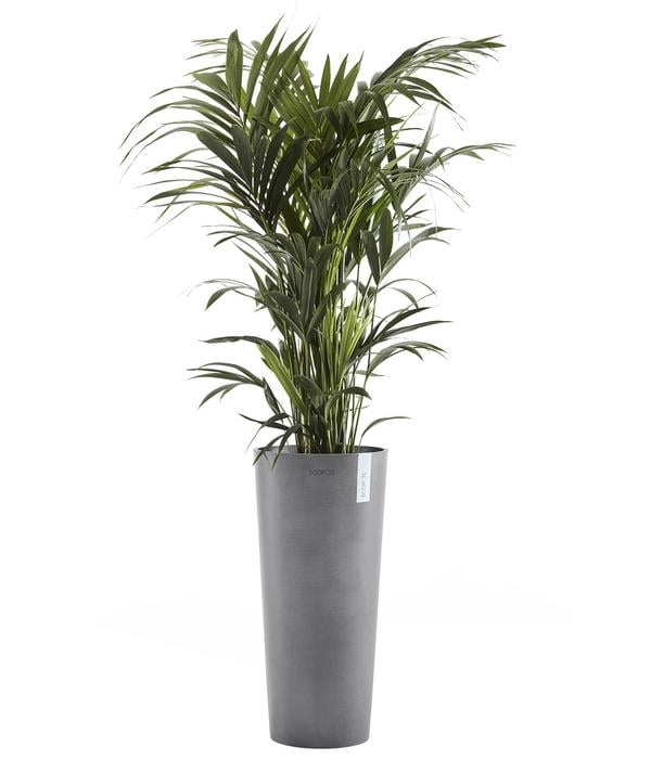 Ecopots Kunststoff-Topf Amsterdam hoch, rund