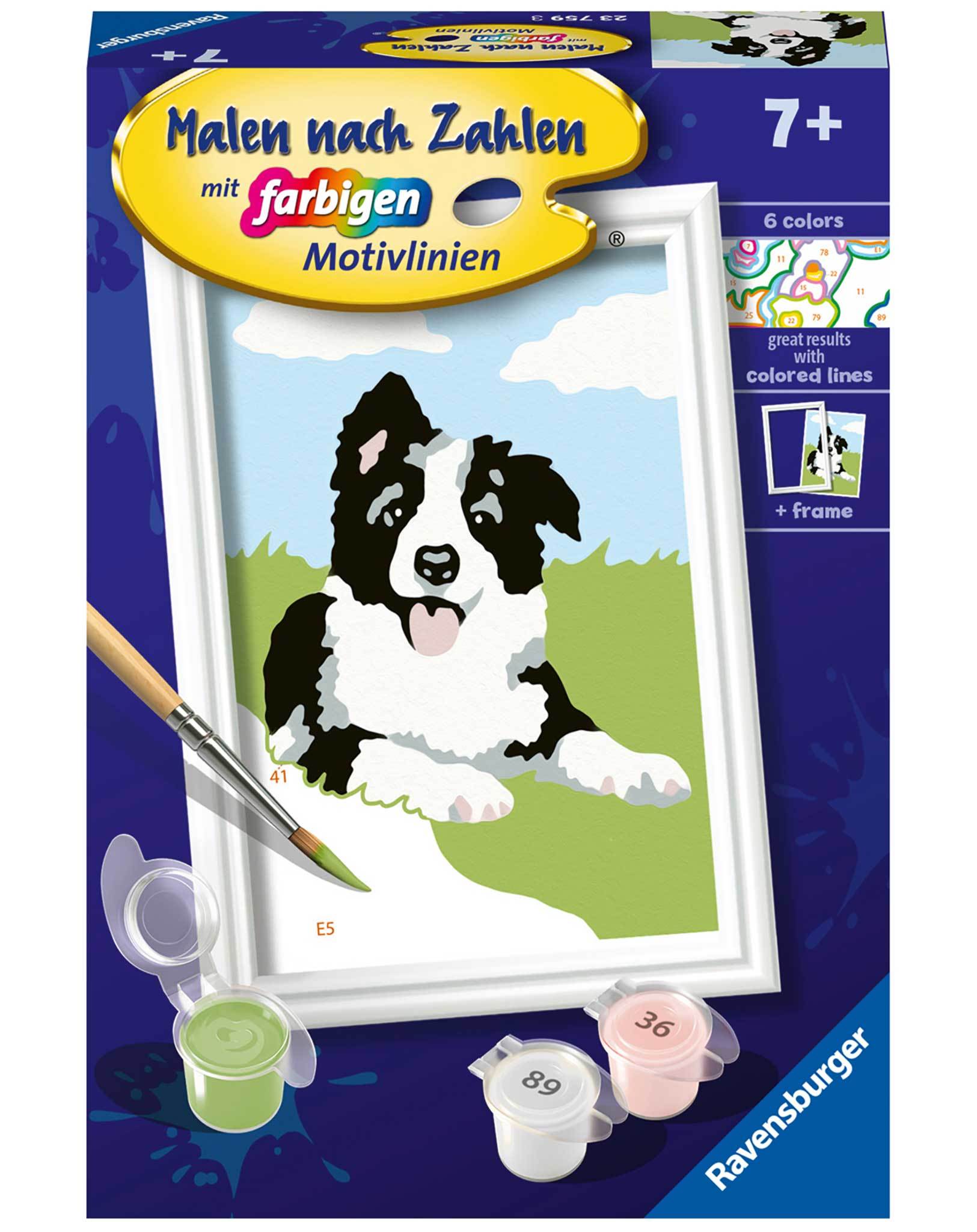 Malen nach Zahlen BORDER COLLIE WELPE