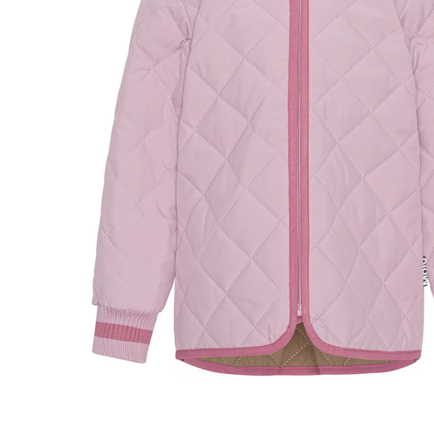 Husky - Blue Pink