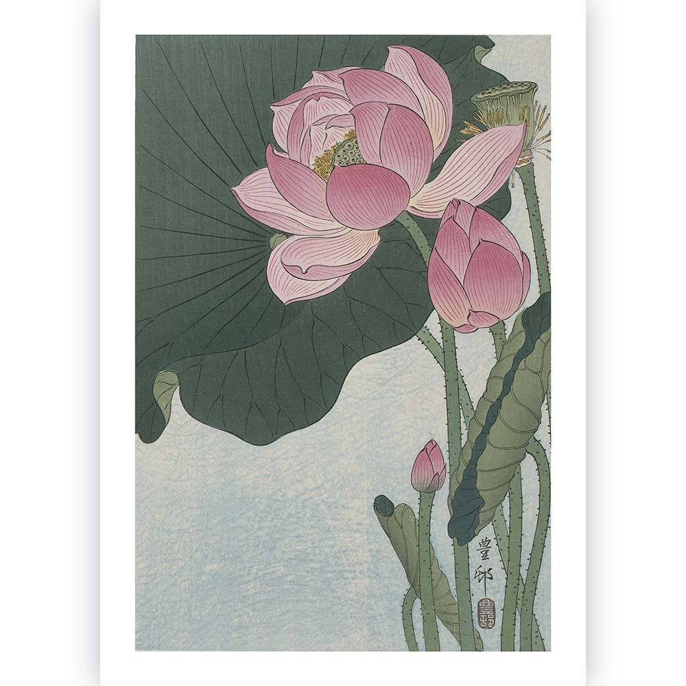 Poster Ohara Koson - Lotus Flower 60x90 cm