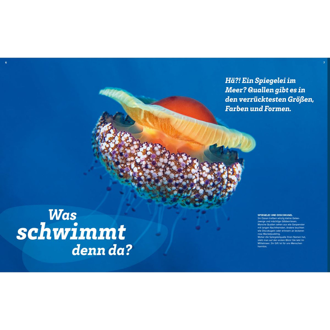 WAS IST WAS - Quallen - Alles nur Glibber?!