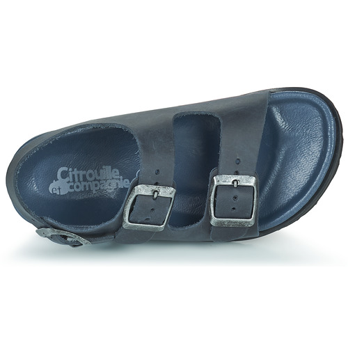 Citrouille et Compagnie - GLORIUS - Azul