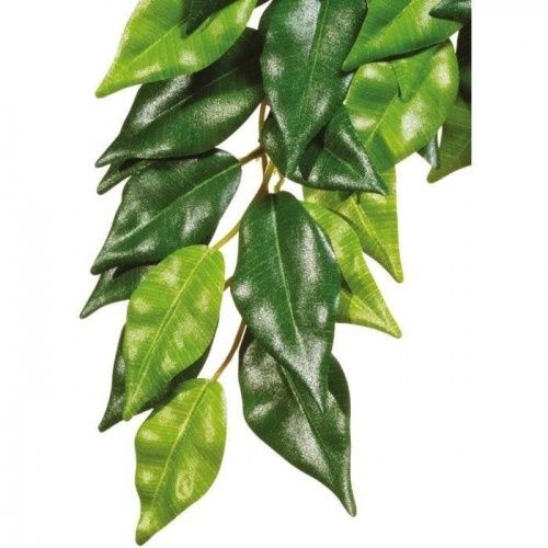 Ficus grande Exo Terra para répteis e anfíbios