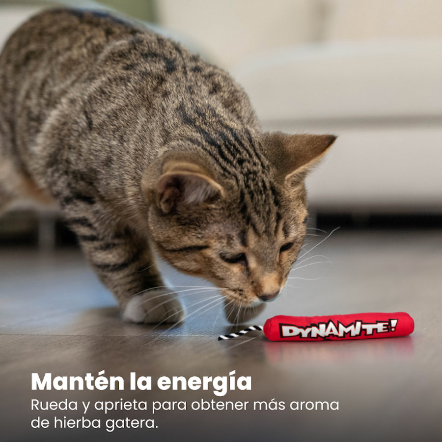 Gatos de pelúcia vermelhos da Outward Hound Catstages Green Magic Dynamite