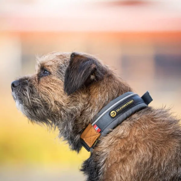 Seleverkstedet Unify dog collar Grå/brun