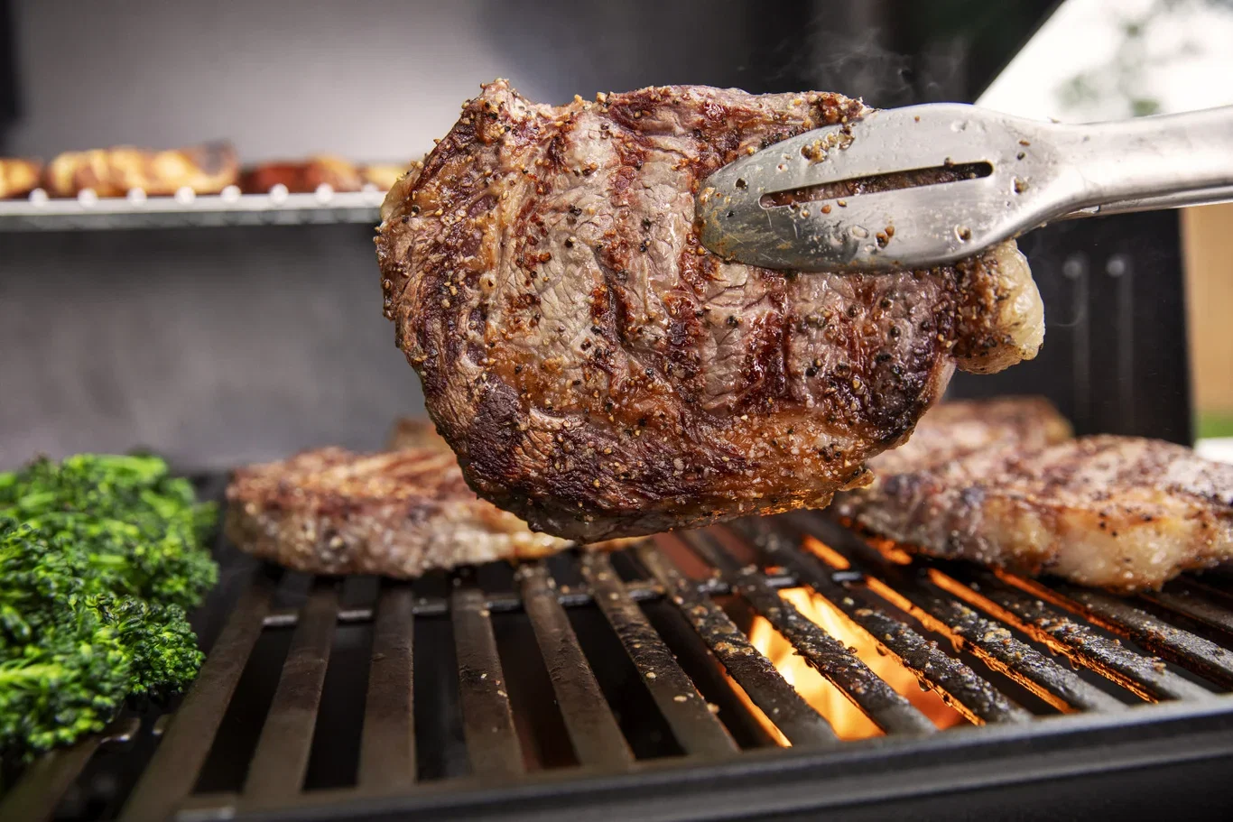 Weber Gassgrill Genesis E-315