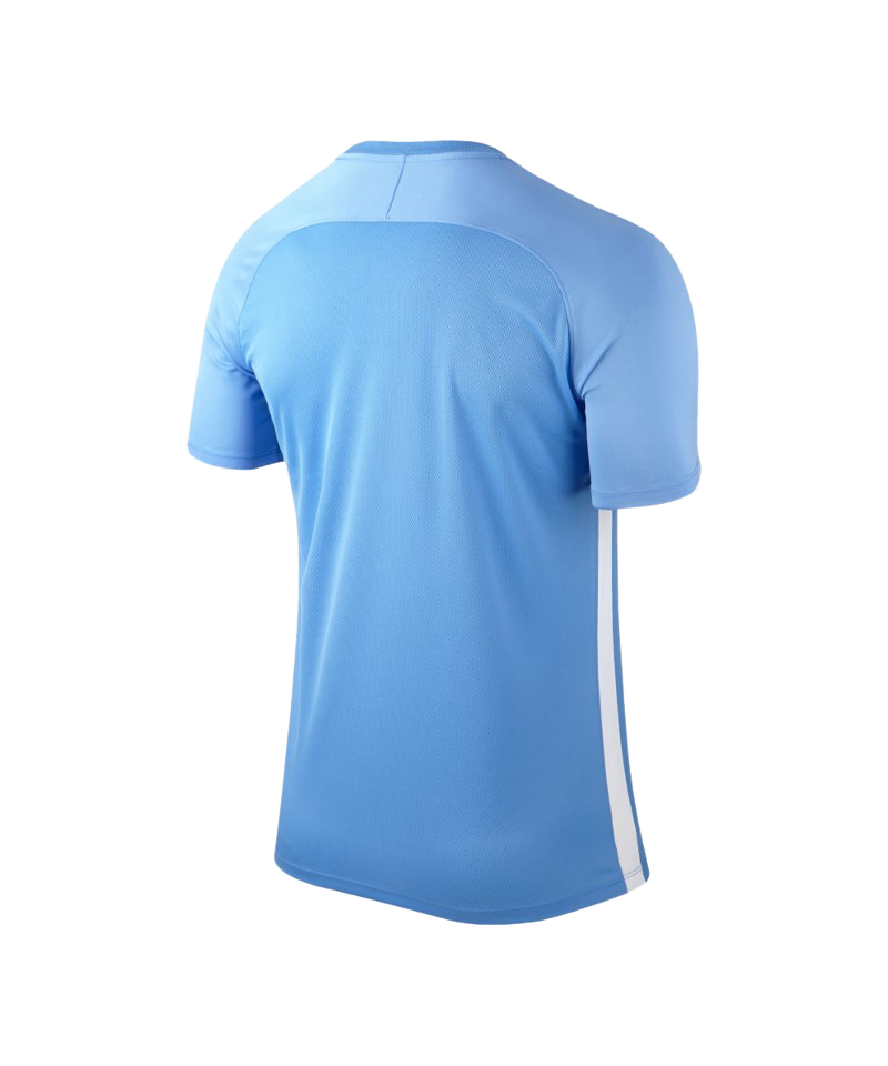 Nike Striped Segment III Trikot kurzarm Blau F412