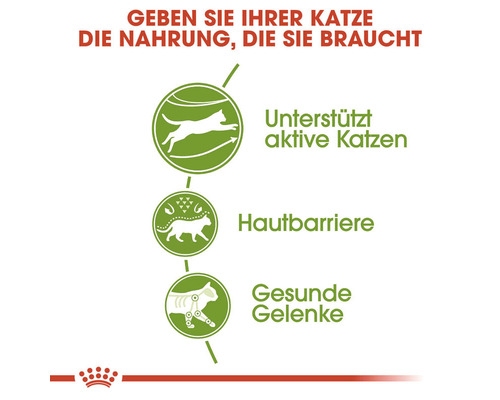 ROYAL CANIN Outdoor droog kattenvoer 10 kg