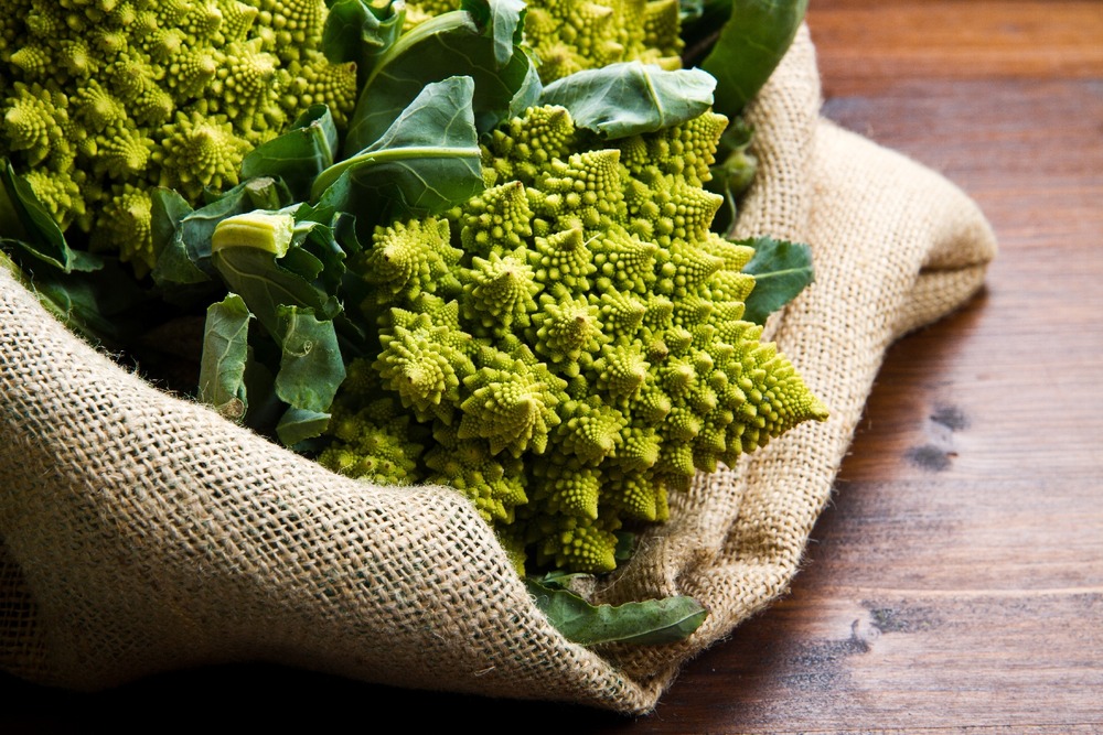Jardin dans le sac - bio - chou - romanesco - 50 graines - brassica oleracea var. Botrytis