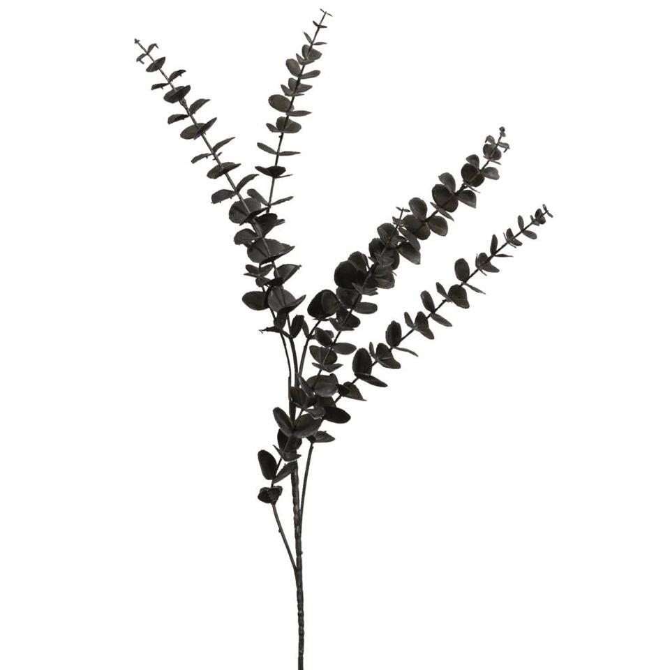 Kunsttak Eucalyptus spray - zwart - 80 cm