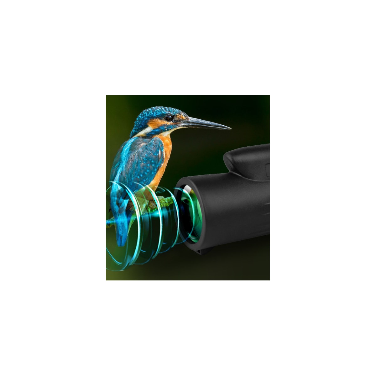 Monokulært teleskop 12×50 Zoom BAK4 Prism Sort
