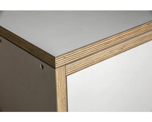 Buildify Campingbox Louis keukenmodule/kast voor VW T5/T6 500x600x720 mm (LxBxH) (zonder montage- en bevestigingsmateriaal)