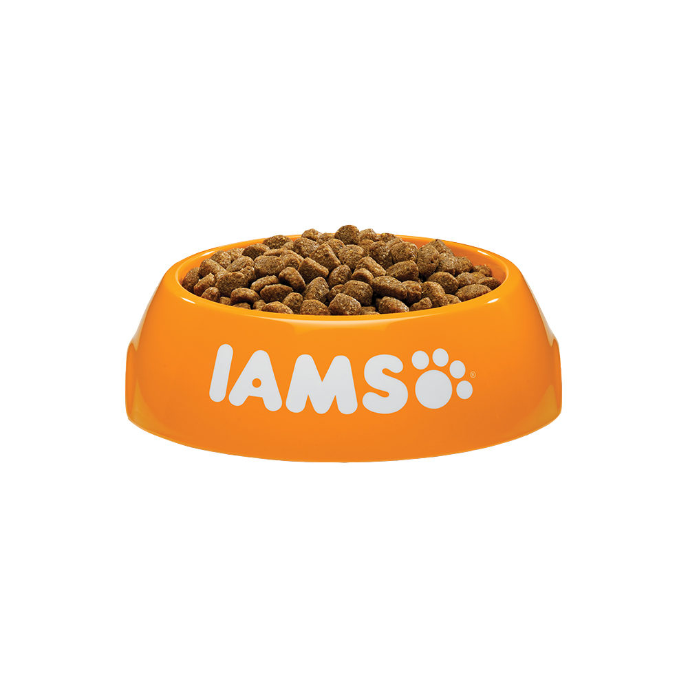IAMS for Vitality Dog Puppy & Junior - Small & Medium
