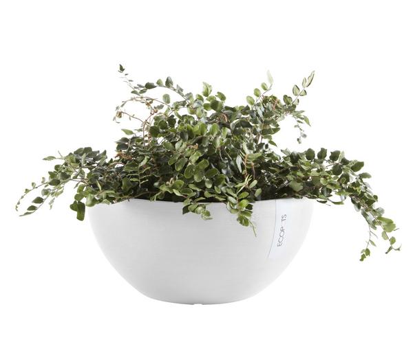 Ecopots Kunststoff-Topf Brussels, rund