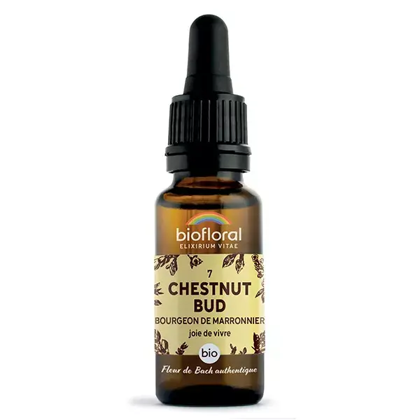 Florais de Bach Biofloral 07 - Broto de Castanha (Brotos de Castanha-da-Índia Orgânicos) 20 ml