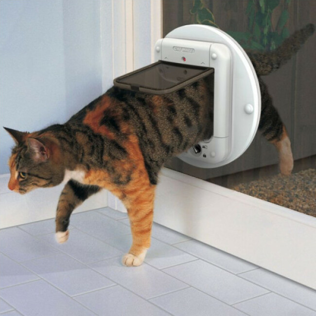 Chatière électronique 4 voies à micropuce Cat Mate Elite 355 pour chat