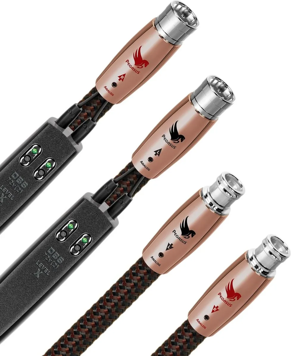 Audioquest Pegasus XLR (2 x 1 m) Câbles symétriques XLR